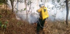 Bomberos, Fuerza Aérea Colombiana y equipo de Vía Parque Isla de Salamanca controlan incendio en sector Las Albercas