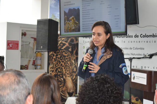 Edna Carolina Jarro Subdirectora de Gestión y Manejo de Parques Nacionales Naturales de Colombia