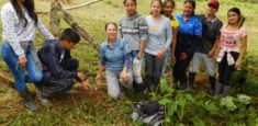 Parque Complejo Volcánico Doña Juana Cascabel y estudiantes, establecen vivero de plantas nativas para cercas vivas.