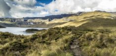 En el 2018 aumentó el ingreso de visitantes a las áreas protegidas nacionales de Colombia