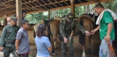 Parques Nacionales, aliados y prestadores de servicios coordinan jornadas de atención integral para los equinos del Parque Tayrona