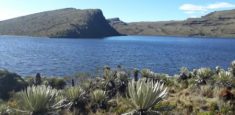 El Ecoturismo en el Parque Nacional Natural Sumapaz no está permitido