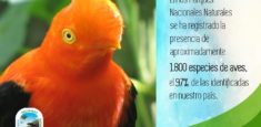 19.228 especies de fauna y flora se protegen  en los Parques Nacionales Naturales de Colombia