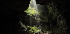 Proyecto de resolución: "Por medio de la cual se ordena el cierre temporal y se prohíbe el ingreso de visitantes, al Parque Nacional Natural Cueva de los Guácharos"