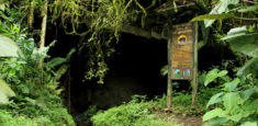 Cerrado temporalmente el Parque  Nacional Natural Cueva de los Guácharos