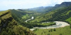 En el 2018 disminuyó la siembra de cultivos ilícitos en los Parques Nacionales Naturales de Colombia