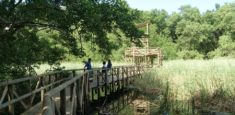 Abierta licitación pública No. 005 – 2019 para la concesión de servicios ecoturísticos en el Parque Nacional Natural Tayrona y el Vía Parque Isla de Salamanca