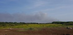 52 brigadistas atienden el incendio forestal que se presenta en el Vía Parque Isla de Salamanca