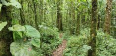 Medición de beneficios de la naturaleza en visitantes de un área protegida: Caso Santuario de Fauna y Flora Otún Quimbaya