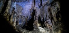 Parque Nacional Natural Cueva de los Guácharos continúa cerrado al ecoturismo y con alerta amarilla