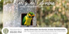 “Loros de Colombia”, una exposición fotográfica de la Dirección Territorial Andes Occidentales de Parques Nacionales Naturales y la Fundación ProAves