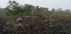 Se realizan acciones para controlar y extinguir incendio forestal presentado en el Parque Nacional Natural El Tuparro