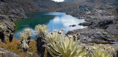 El ingreso al Parque Nacional Natural Sumapaz no está permitido