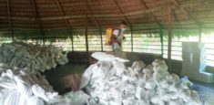 45 comunidades de pueblos indígenas del Amazonas y Vaupés reciben ayudas humanitarias para prevenir los contagios de COVID-19