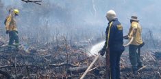 Brigada Forestal del Vía Parque Isla de Salamanca y bomberos de Sitionuevo atienden incendio en el sector Las Albercas