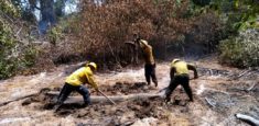 Liquidado por completo incendio forestal presentado en el Vía Parque Isla de Salamanca