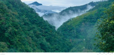 Parque Nacional Natural Farallones de Cali, 52 años aportando a la conservación del pacifico colombiano