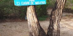 Consejo Comunitario de Playa Blanca lidera jornadas de recolección de residuos sólidos en el Parque Nacional Natural Corales del Rosario y de San Bernardo
