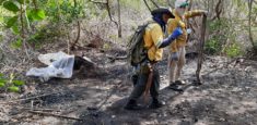 Avanzan labores para controlar incendio forestal en el Vía Parque Isla de Salamanca