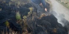 Liquidado incendio forestal presentado en el Parque Nacional Natural Los Nevados