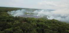 Autoridades atienden incendio presentado en el Vía Parque Isla de Salamanca