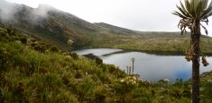 Por prevención se mantiene cerrado el acceso por La Calera hacia el Parque Nacional Natural Chingaza
