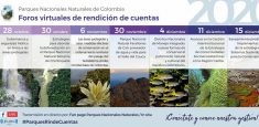 Hoy se realizará foro “Estrategias para abordar la deforestación en el Parque Nacional Natural Serranía de Chiribiquete”