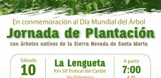 En el Día Mundial del Árbol se sembrarán 800 árboles nativos en el sector la Lengüeta del Parque Nacional Natural Sierra Nevada de Santa Marta