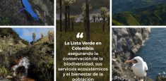 Mañana con un conversatorio, Colombia como líder de la Lista Verde en América del Sur celebrará el Día de las Áreas Protegidas de Latinoamérica y el Caribe