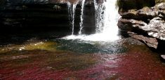 El ingreso a Caño Cristales y demás atractivos ecoturísticos en La Macarena, no está permitido
