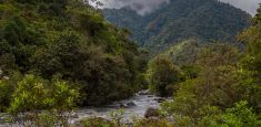 Adquiridos predios en el Parque Nacional Natural Las Orquídeas para restaurar zonas degradadas, recuperar hábitats y conectar corredores biológicos en Antioquia