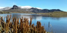 Se reabre para el ecoturismo el sector Centro del Parque Nacional Natural Los Nevados