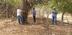 En La Guajira avanza la implementación de la estrategia de uso y manejo sostenible de la biodiversidad en la comunidad indígena wayuu de Jalein, zona de influencia del Parque Nacional Natural Macuira