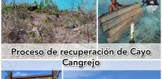 Continúa proceso de adecuación y recuperación de Cayo Cangrejo en el Parque Nacional Natural Old Providence