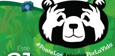 Este domingo 21 de febrero #PonteLosAnteojosPorLaVida y rinde un homenaje al gran oso de anteojos