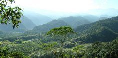 El Santuario de Fauna y Flora Otún Quimbaya en etapa transitoria en la operación de servicios ecoturísticos