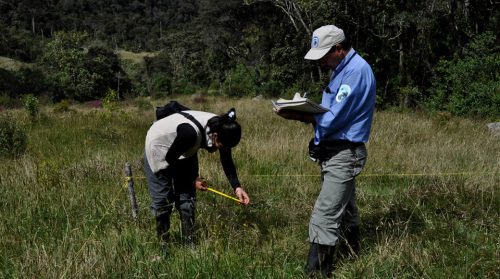 Llegó la oportunidad de ser Guardaparque voluntario en los Parques Nacionales Naturales de Colombia