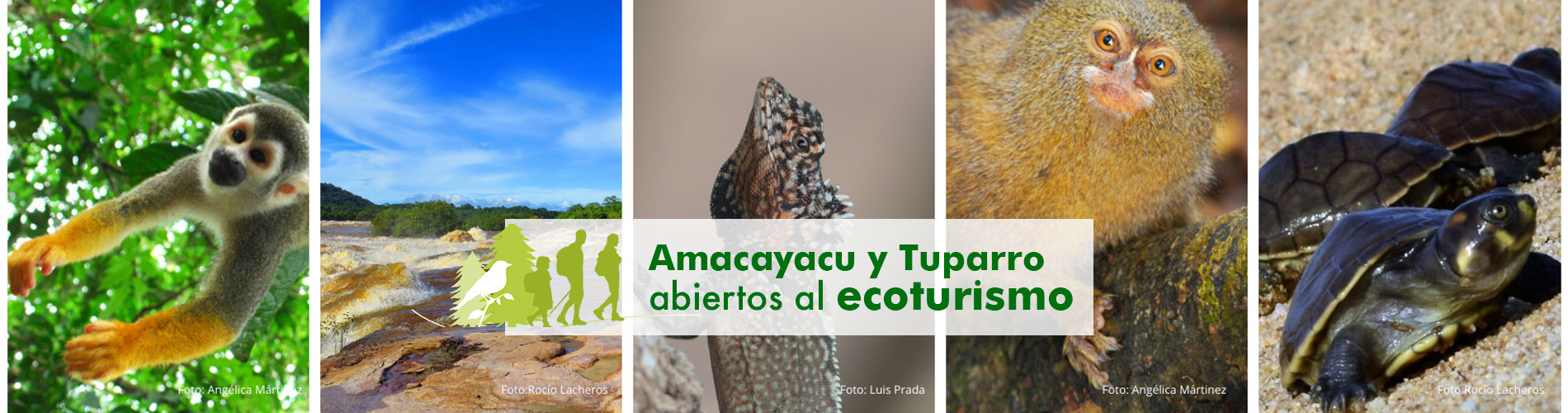 Amayacayacu y Tuparro abiertos al ecoturusmo