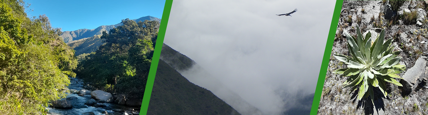 Sierra Nevada de Santamarta