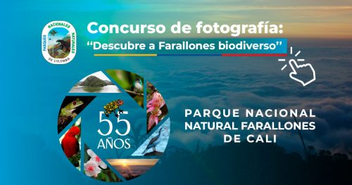 El Parque Nacional Natural Farallones de Cali celebra sus 55 años, con el lanzamiento oficial del concurso de fotografía ‘’Descubre a Farallones Biodiverso’’