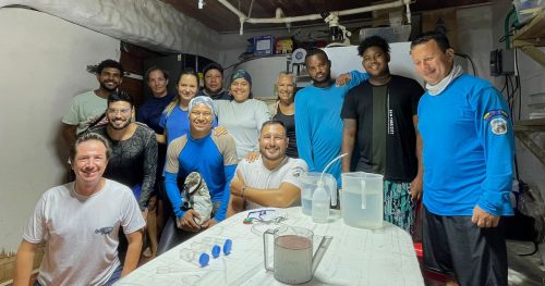 Avanza restauración coralina en el Caribe colombiano